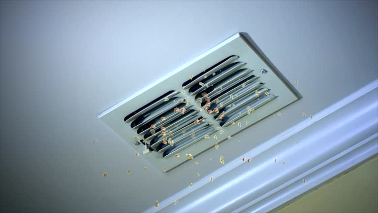 Best Professional Duct Cleaning Services  in Salado, TX