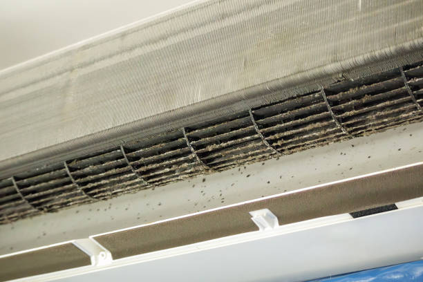 Best Best Air Duct Cleaning Company  in Salado, TX